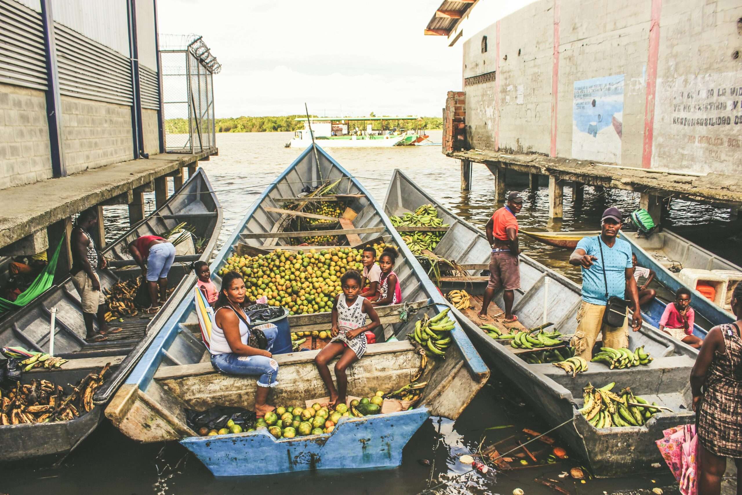 Homicides collapsed, but coca reached 253,000 hectares