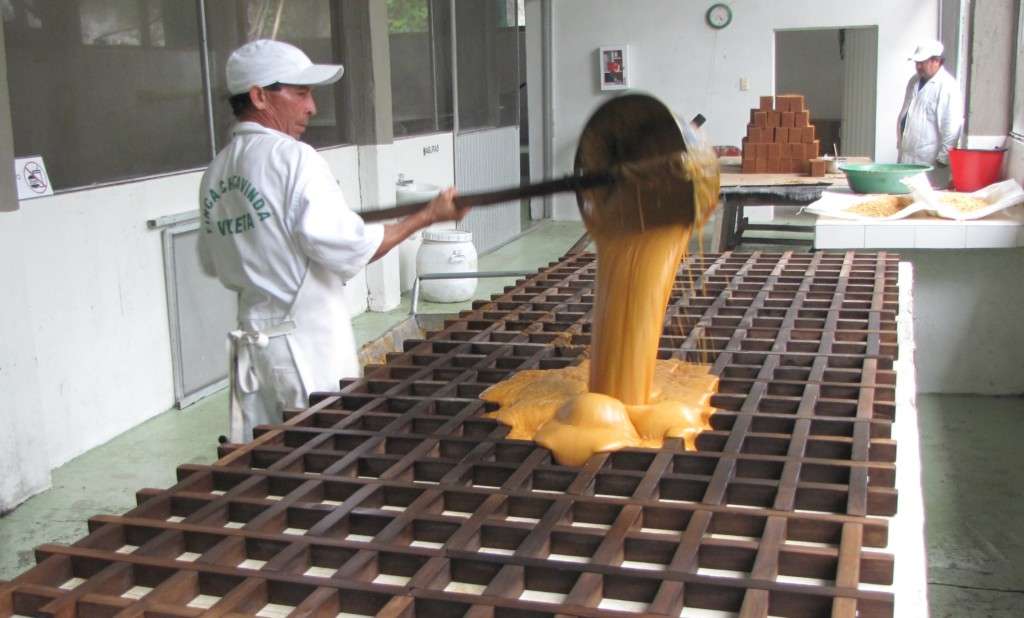 💖 Panela matters as Colombia’s farm workforce shrinks