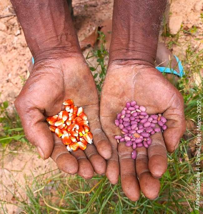 Agriculture’s employment share fell to 6.1%